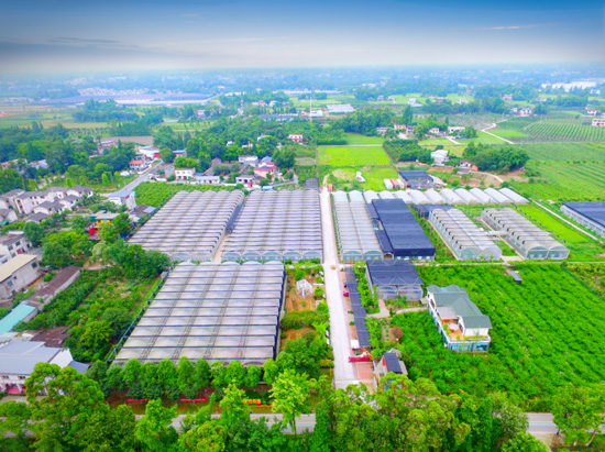 農業(yè)園區(qū)550 農業(yè)園區(qū)550